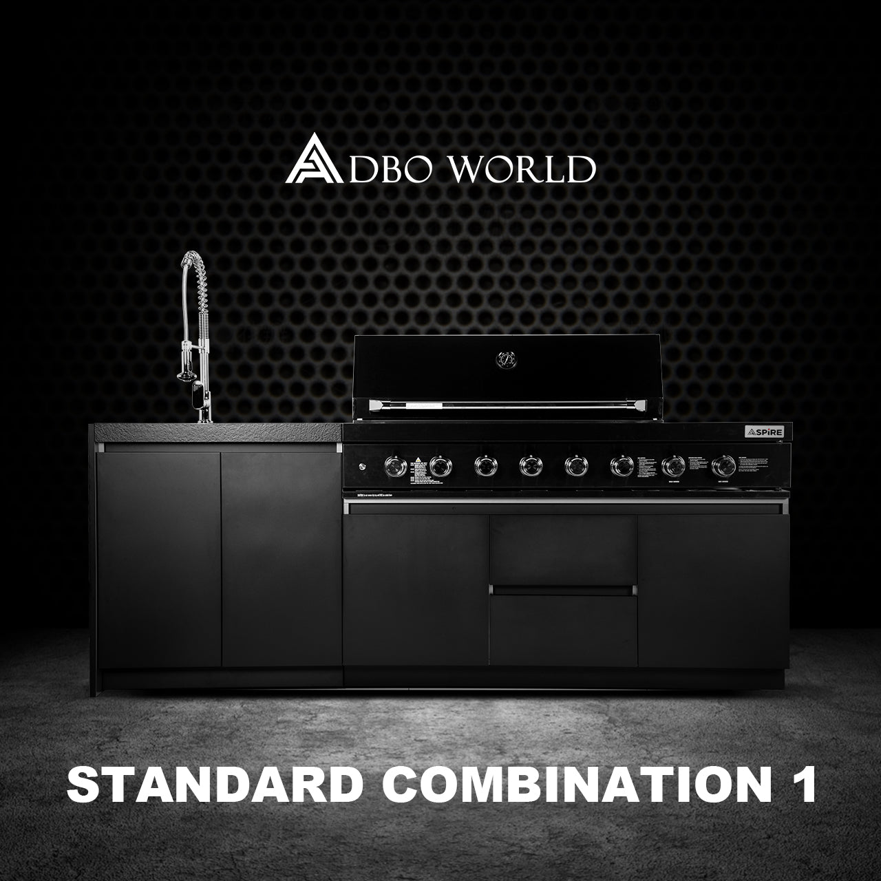 Aspire 6 Burner LPG GAS Combination with Sink Cabinet